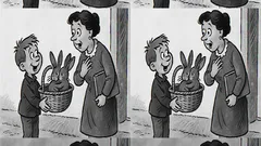 Banc: Bulă aduce doi iepurași la școală