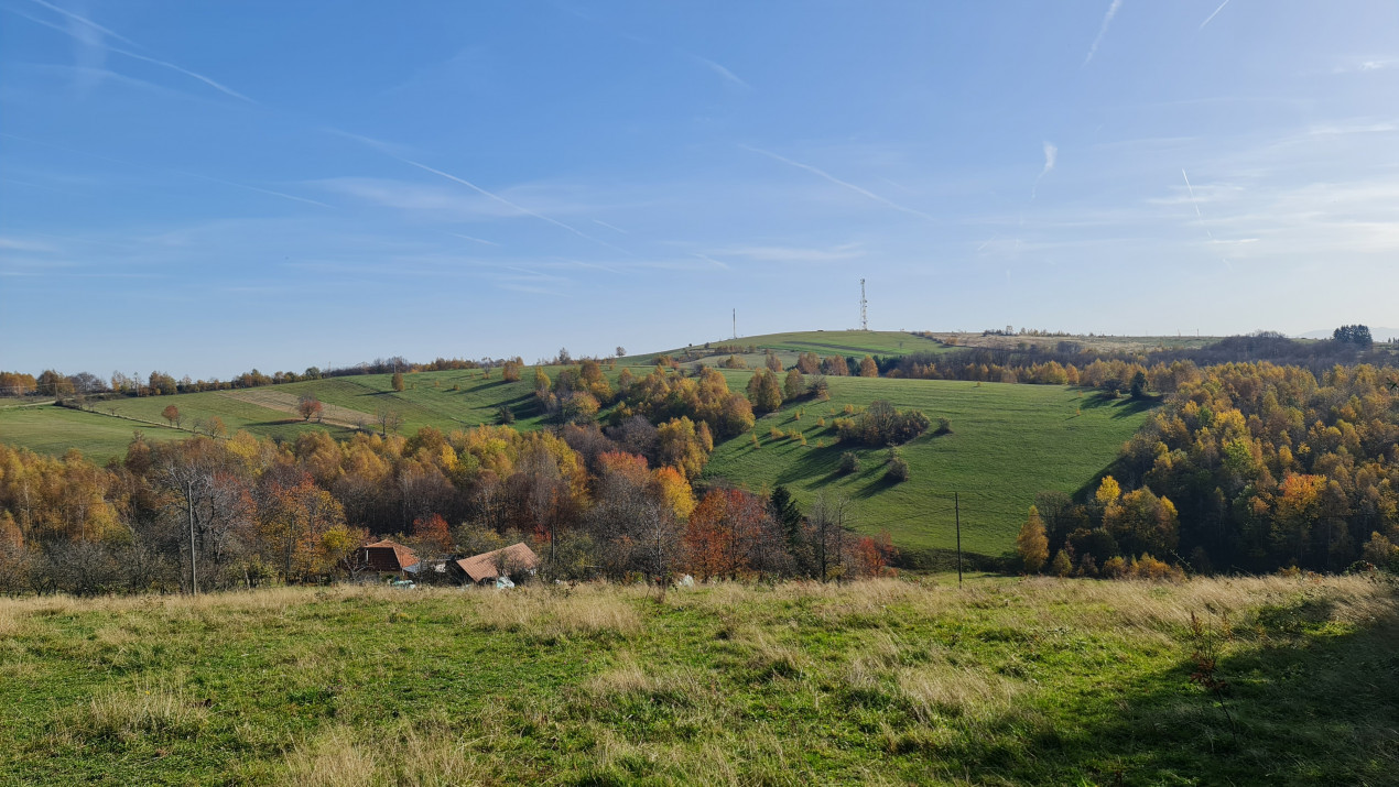 Teren Sinteu Bihor
