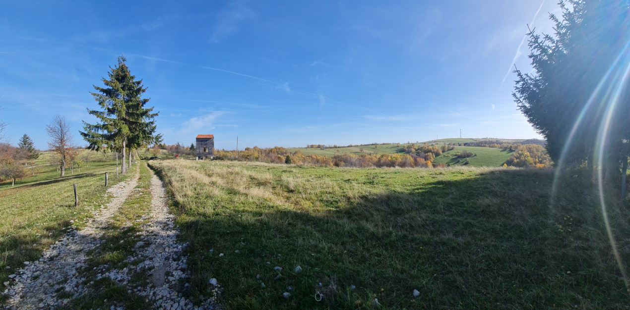 Teren Sinteu Bihor