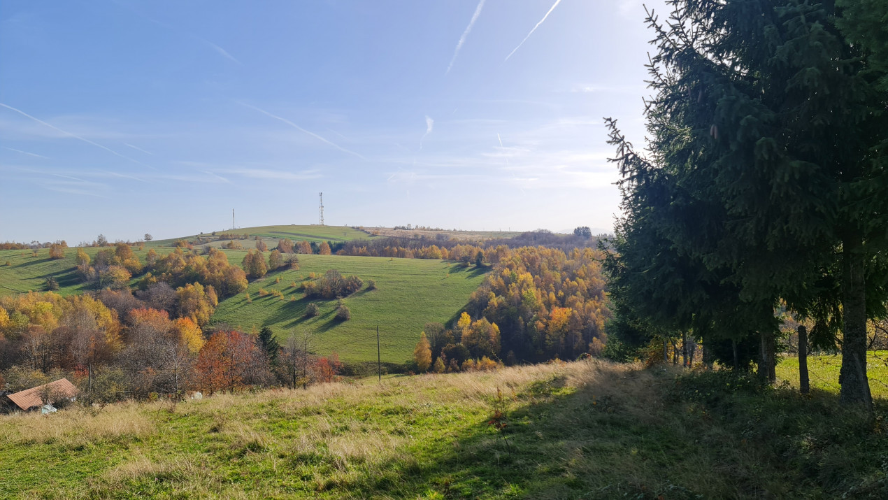 Teren Sinteu Bihor