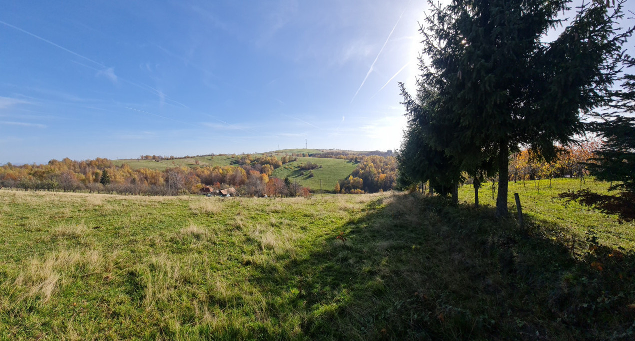 Teren Sinteu Bihor