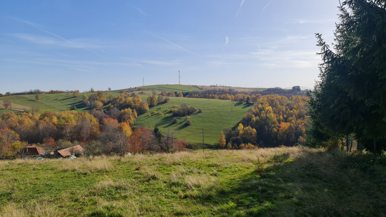 Teren Sinteu Bihor