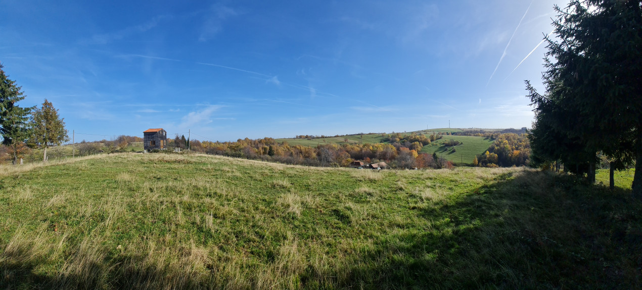 Teren Sinteu Bihor