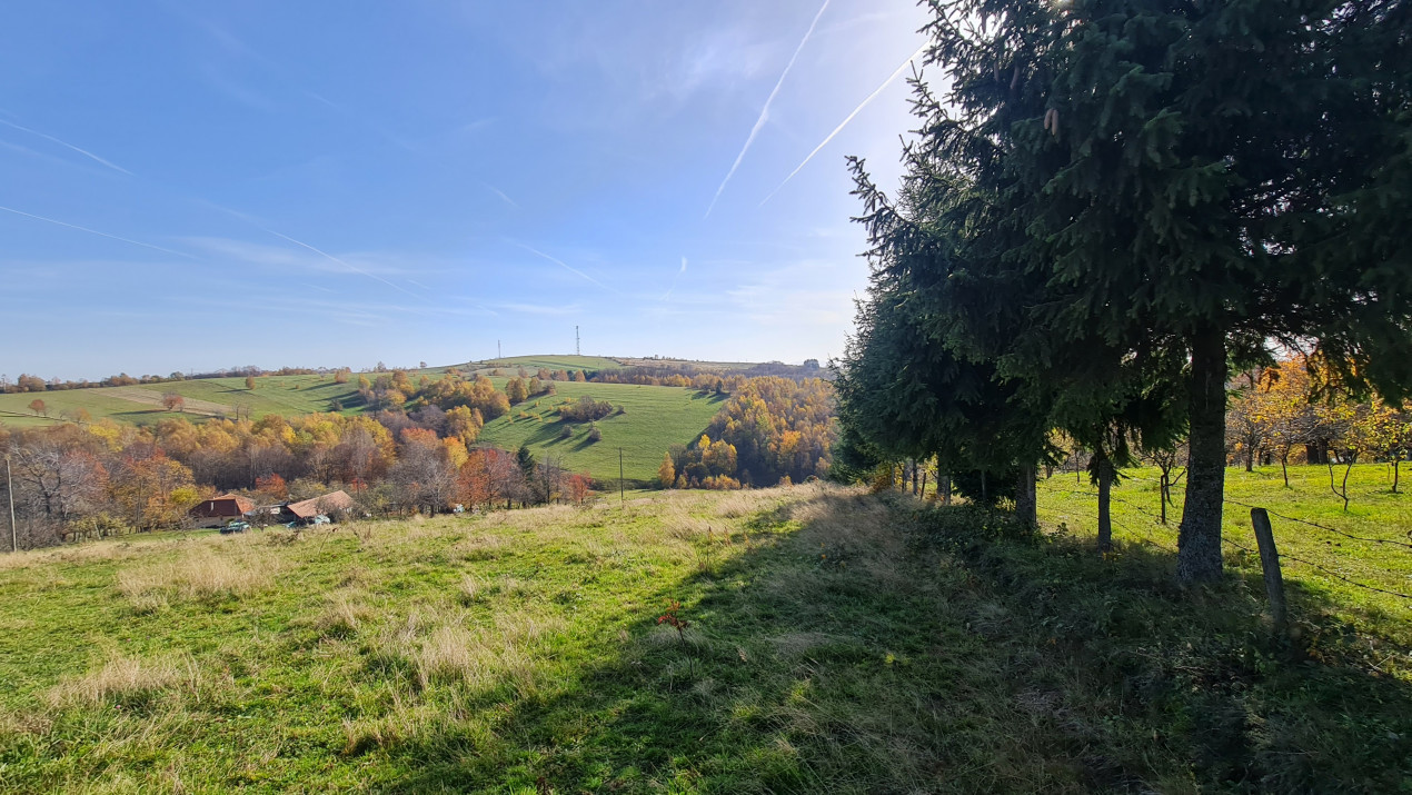 Teren Sinteu Bihor