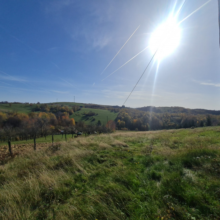 Teren Sinteu Bihor