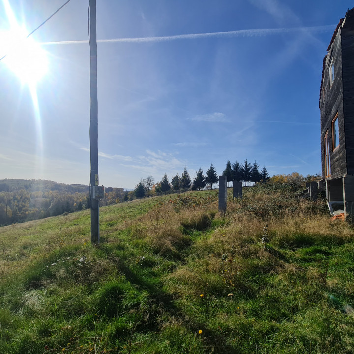 Teren Sinteu Bihor