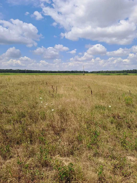Vand teren Cihei zona Apateului 500mp 