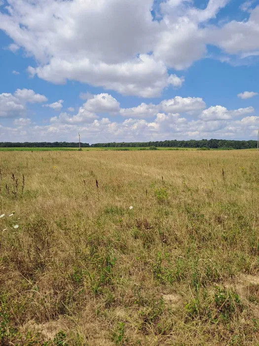 Vand teren Cihei zona Apateului 500mp 