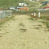 Teren de vanzare in Paleu