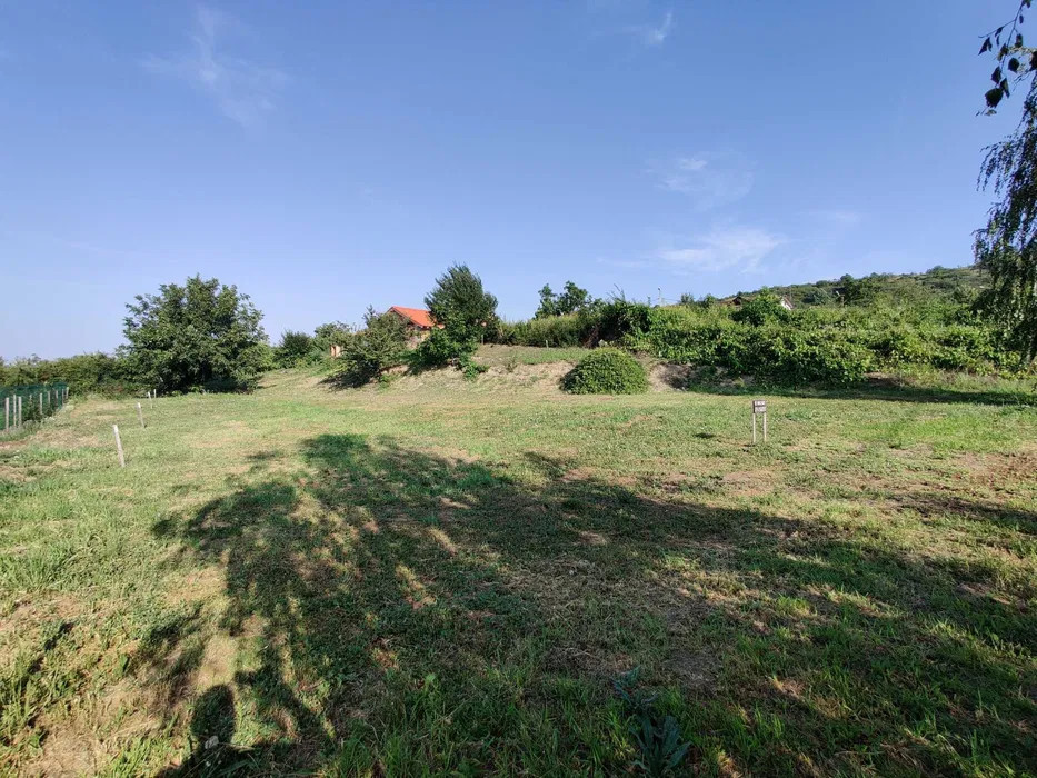 Teren intravilan Podgoria Oradea