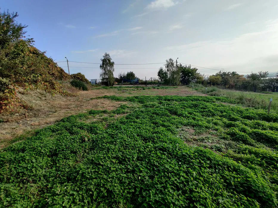 Teren intravilan Podgoria Oradea