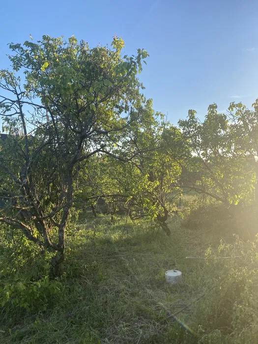 Teren intravilan zona Spitalului Judetean