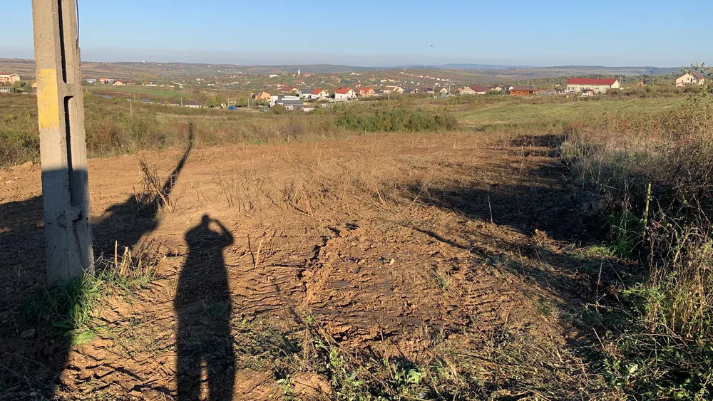 Teren Intravilan în Paleu