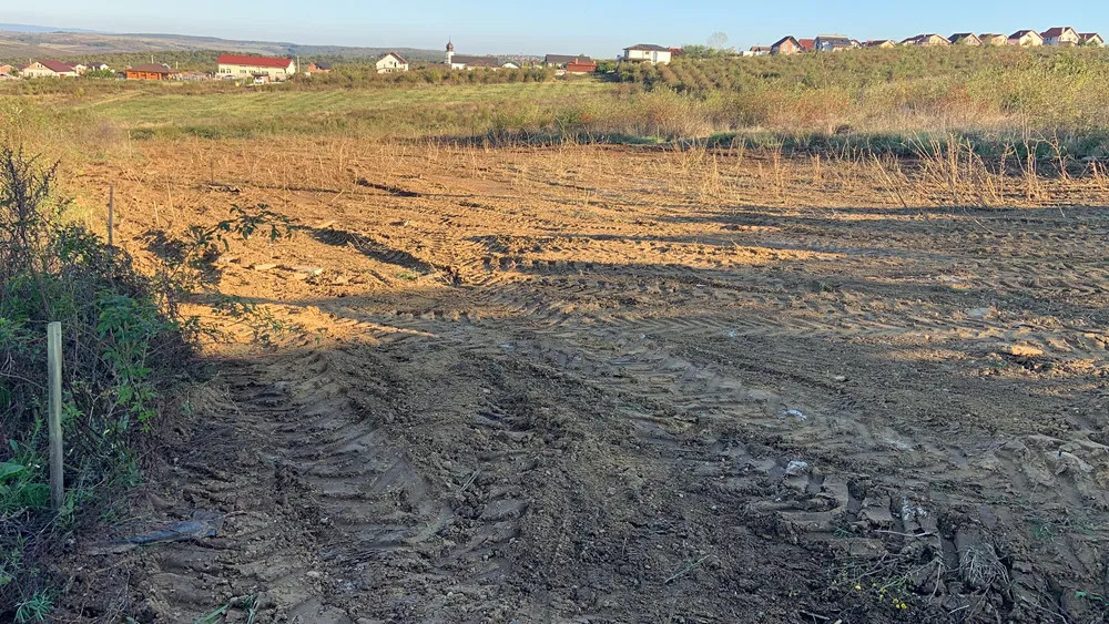 Teren Intravilan în Paleu