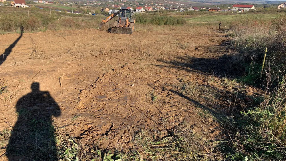 Teren Intravilan în Paleu