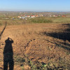 Teren Intravilan în Paleu