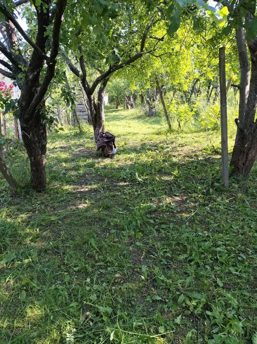 TEREN de vanzare cu panorama ADEVARULUI ORADEA