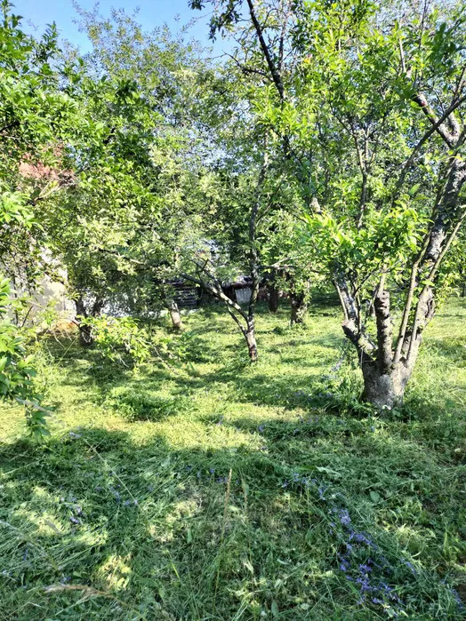 TEREN de vanzare cu panorama ADEVARULUI ORADEA
