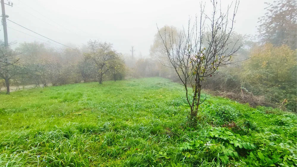 Teren intravilan 1319 mp Podgoria de vanzare
