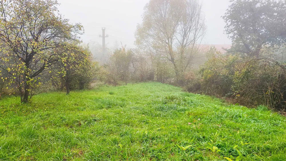 Teren intravilan 1319 mp Podgoria de vanzare