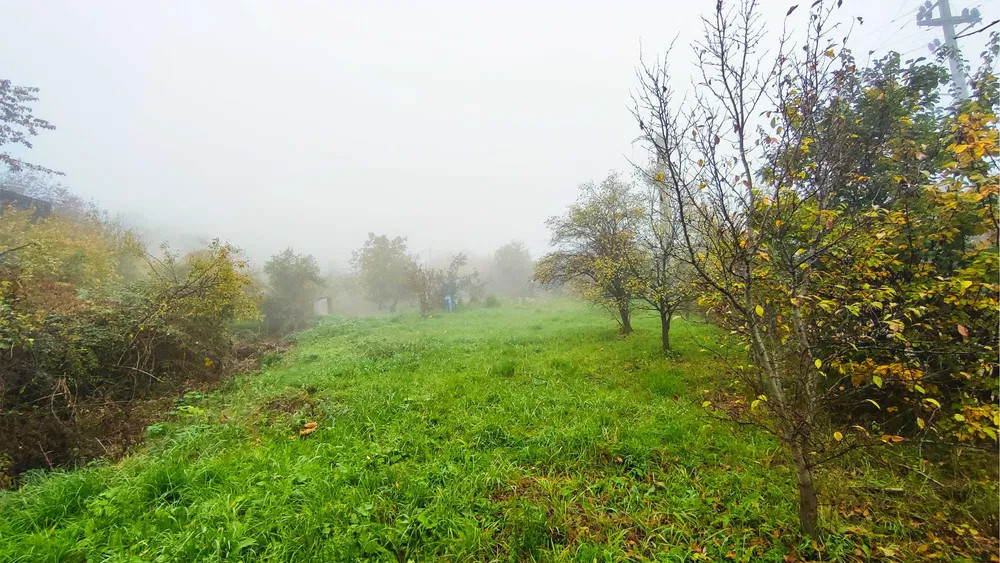 Teren intravilan 1319 mp Podgoria de vanzare