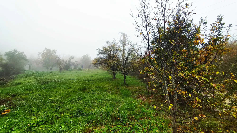 Teren intravilan 1319 mp Podgoria de vanzare