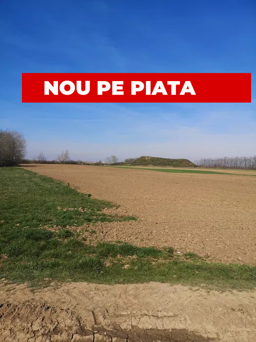 Teren extravilan Santion
