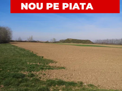 Teren extravilan Santion